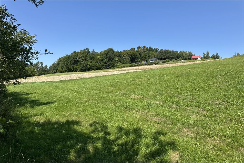 Działka - Sprzedaż - Młynne, Polska - 16 - 800061103-179