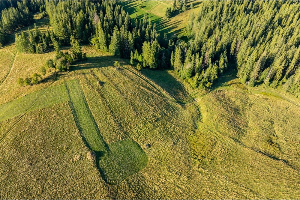 Działka - Sprzedaż - Zakopane, Polska - 20250826-DJI_0034-HDR.jpg - 470151024-450