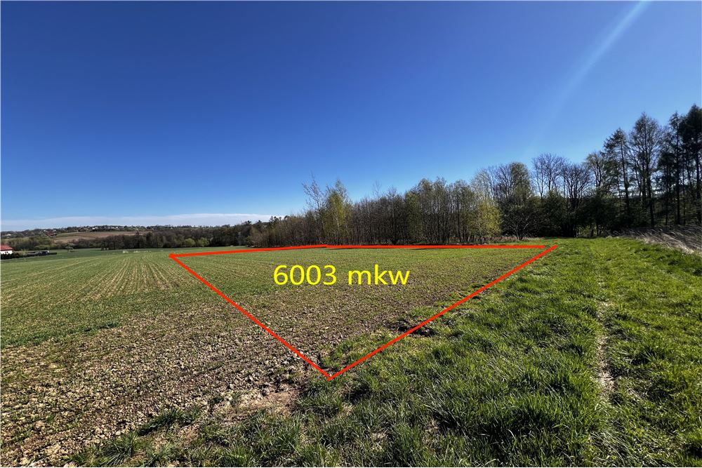 Działka - Sprzedaż - Pogórze, Polska - 10 - 800061117-26