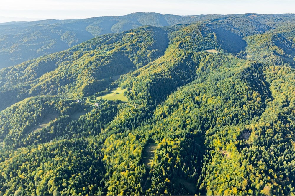 Działka - Sprzedaż - Harklowa, Polska - 20251004-DJI_0192-HDR.jpg - 470151024-458