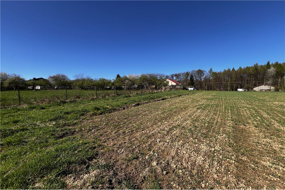 Działka - Sprzedaż - Pogórze, Polska - 5 - 800061117-26