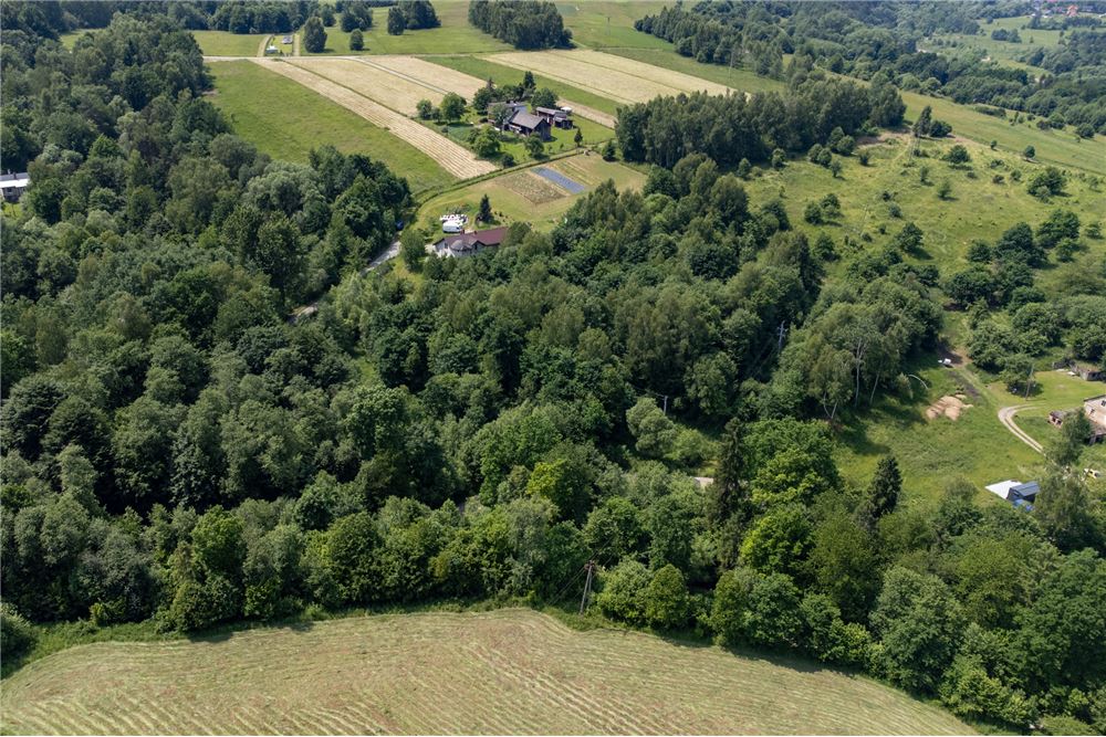 Działka budowlana - Sprzedaż - Rychwałd, Polska - 65 - 800061103-169