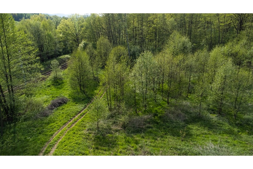 Działka - Sprzedaż - Barwałd Średni, Polska - BARWAŁD ŚREDNI_7.JPG - 470131106-29