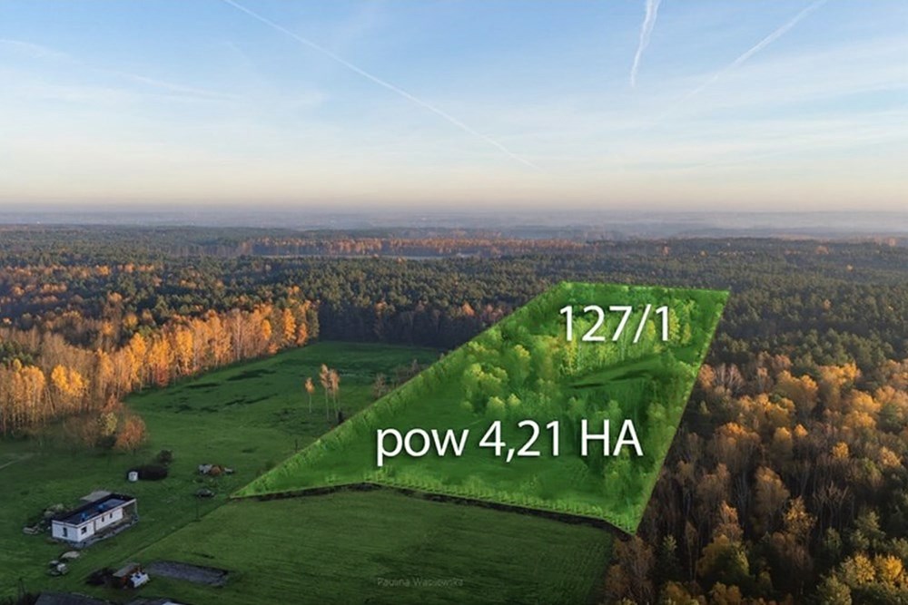 Działka budowlana - Sprzedaż - Ostrowik, Polska - 6.jpg - 810131026-128