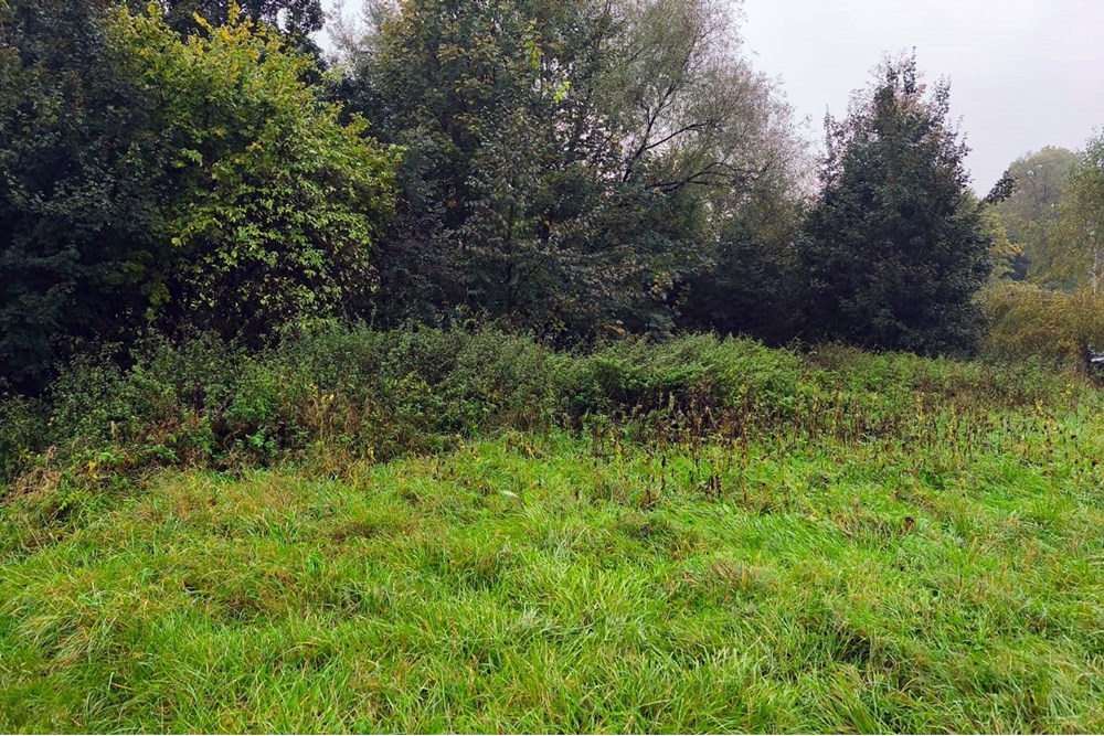 Działka budowlana - Sprzedaż - Goleszów, Polska - 1000049336.jpg - 800061030-129