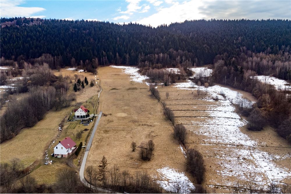 Działka budowlana - Sprzedaż - Las, Polska - 3 - 800061103-198