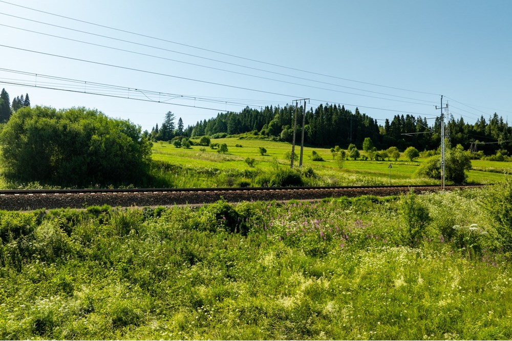Działka - Sprzedaż - Szaflary, Polska - DJI_0646-HDR-18.jpg - 470151024-442