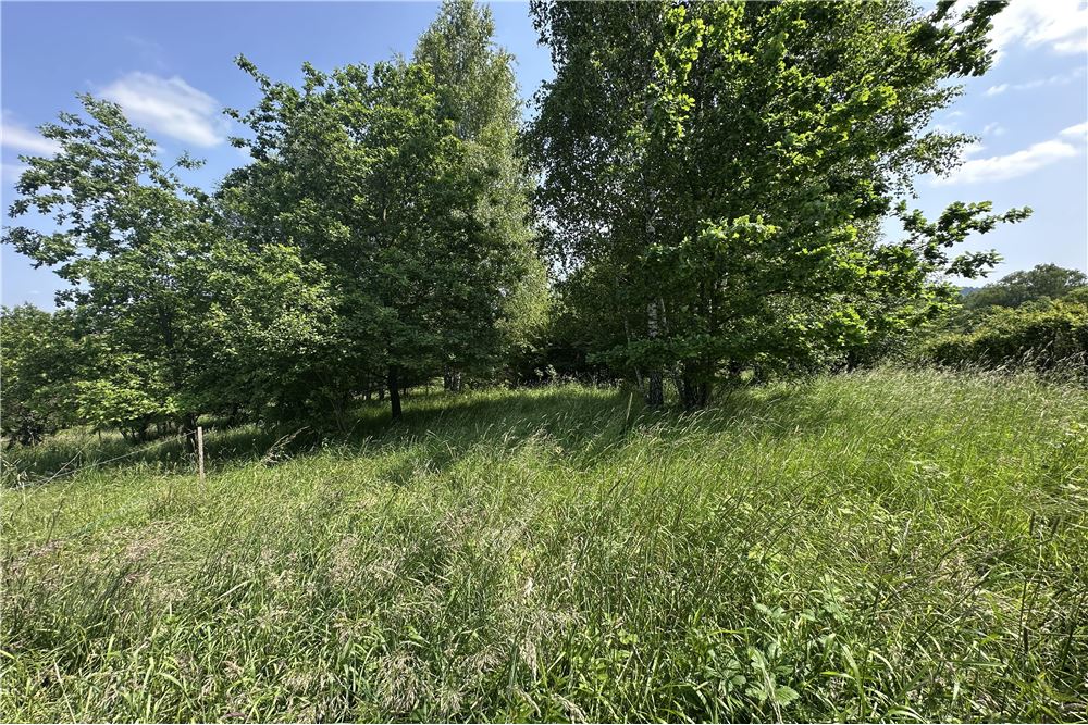 Działka budowlana - Sprzedaż - Rychwałd, Polska - 84 - 800061103-169