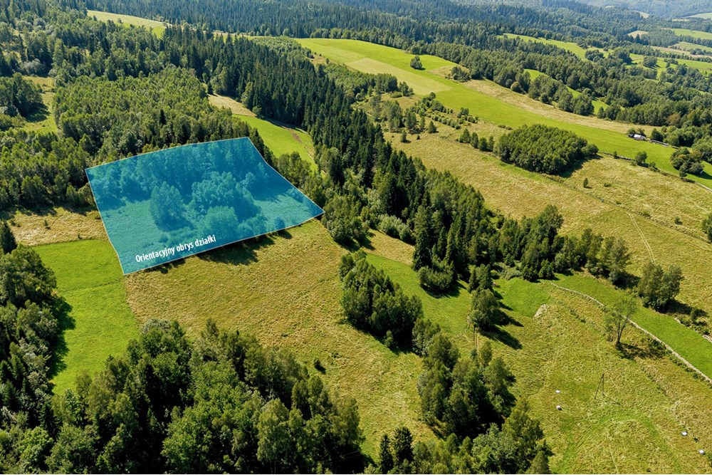 Działka - Sprzedaż - Sieniawa, Polska - dzialka-sieniawa-pajerski-10 copy.jpg - 800091055-3