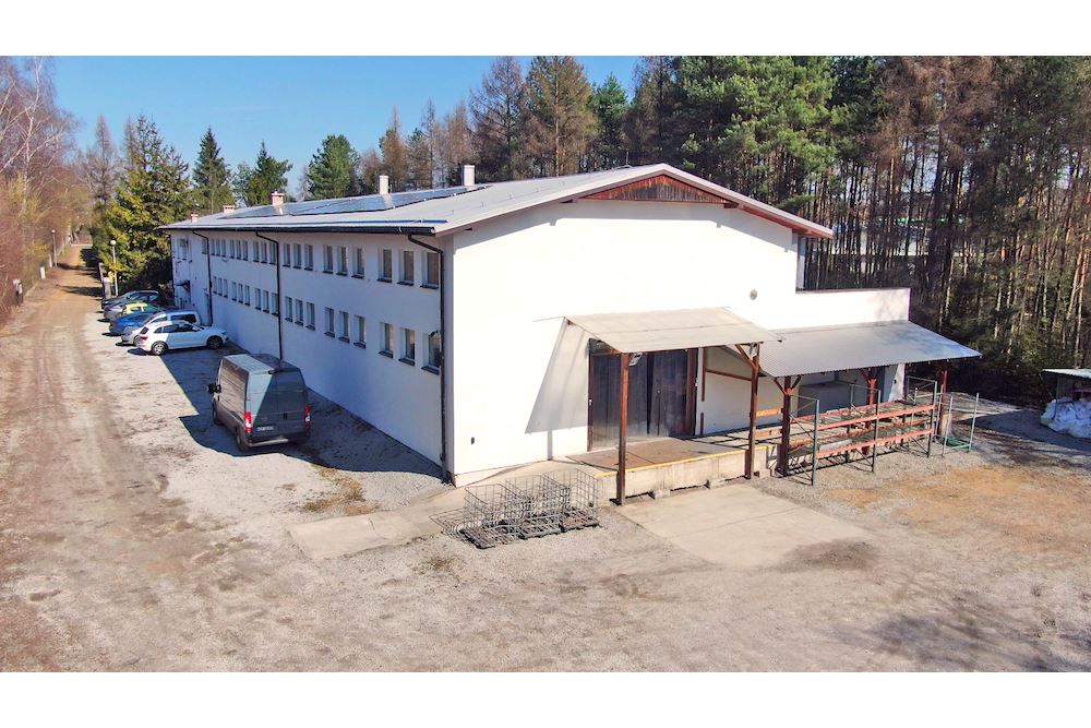 Magazyn - Sprzedaż - Chrzanów, Polska - 15 - 800041001-875