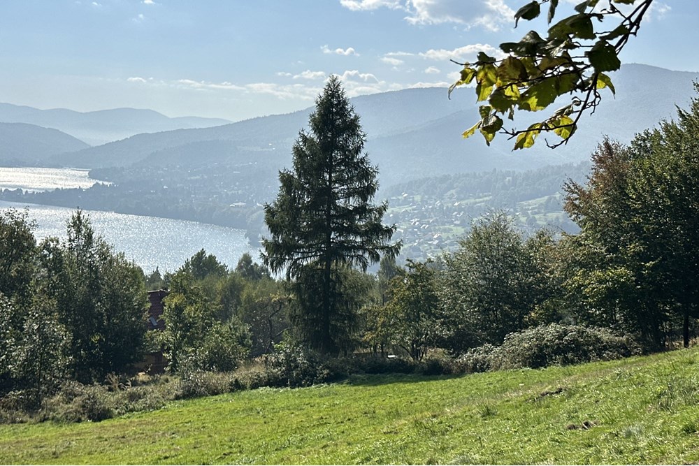 Działka budowlana - Sprzedaż - Międzybrodzie Bialskie, Polska - IMG_1838.jpg - 800061103-193