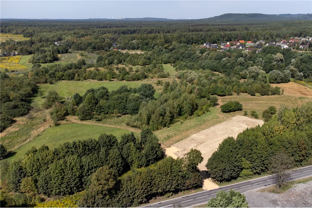 Działka - Sprzedaż - Jankowice, Polska - 48 - 800061103-174