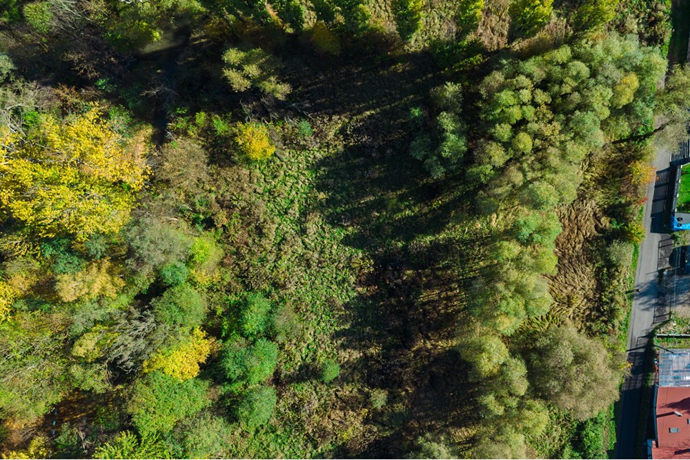 Nieruchomość gruntowa - Sprzedaż - Słomniki, Polska - fot (24).jpg - 800241049-16