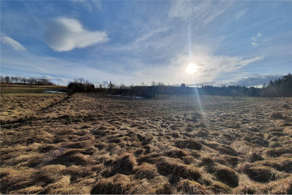 Działka budowlana - Sprzedaż - Bystra, Polska - 5 - 800091026-75