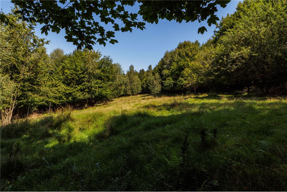 Działka - Sprzedaż - Międzybrodzie Żywieckie, Polska - 12 - 800061107-105