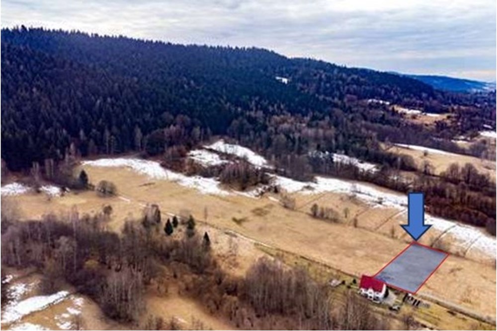 Działka budowlana - Sprzedaż - Las, Polska - Zrzut ekranu 2025-10-28 062147.jpg - 800061103-197