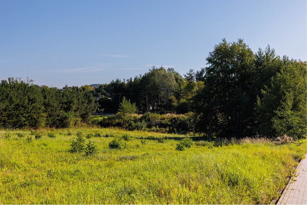 Działka - Sprzedaż - Roczyny, Polska - roczyny-13 (13).jpg - 800061107-109