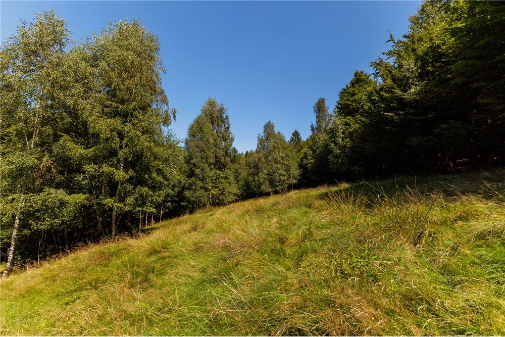 Działka - Sprzedaż - Międzybrodzie Żywieckie, Polska - 3 - 800061107-105