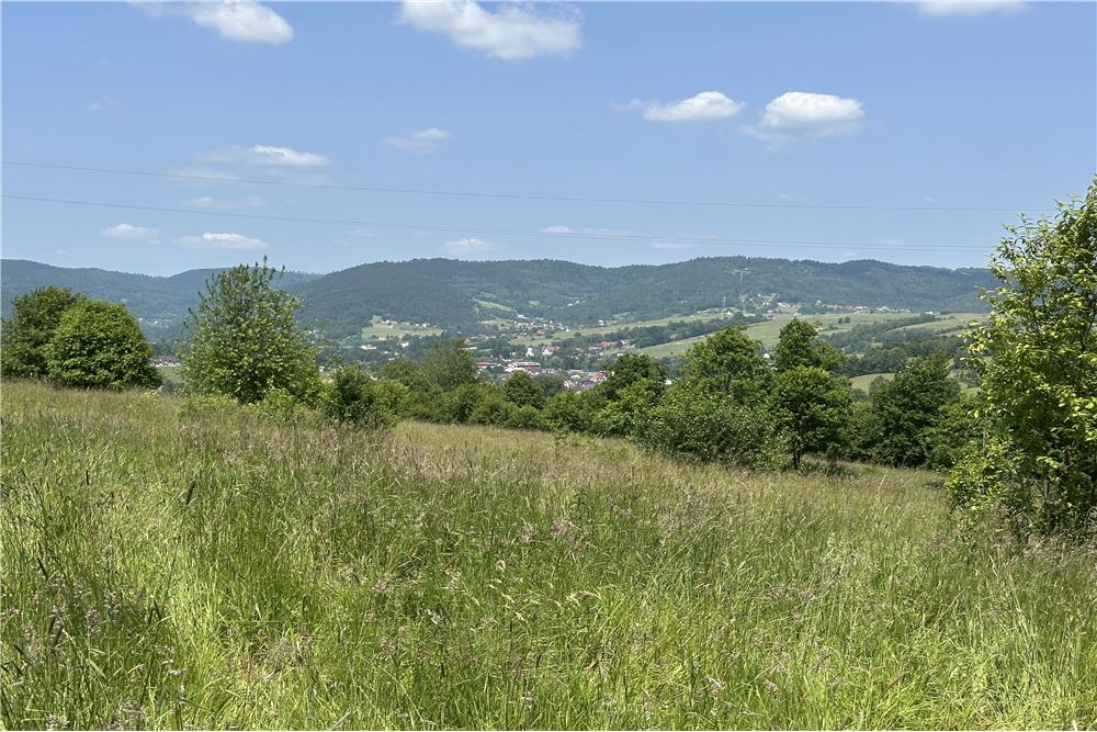 Działka budowlana - Sprzedaż - Rychwałd, Polska - 48 - 800061103-169