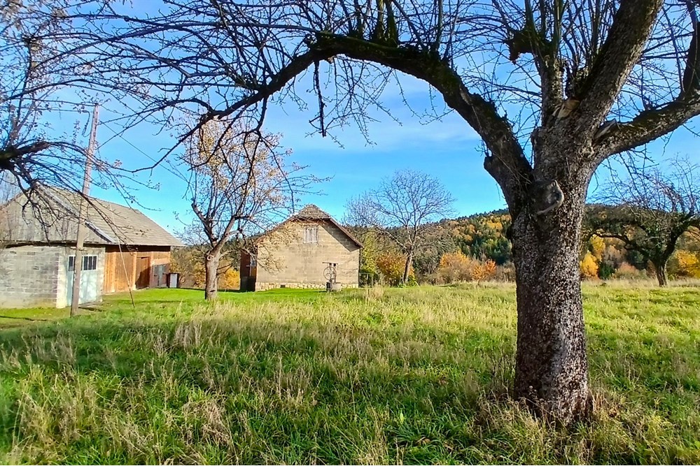 Dom wolnostojący - Sprzedaż - Krasne-Lasocice, Polska - 20251031_134702.jpg - 800241017-143