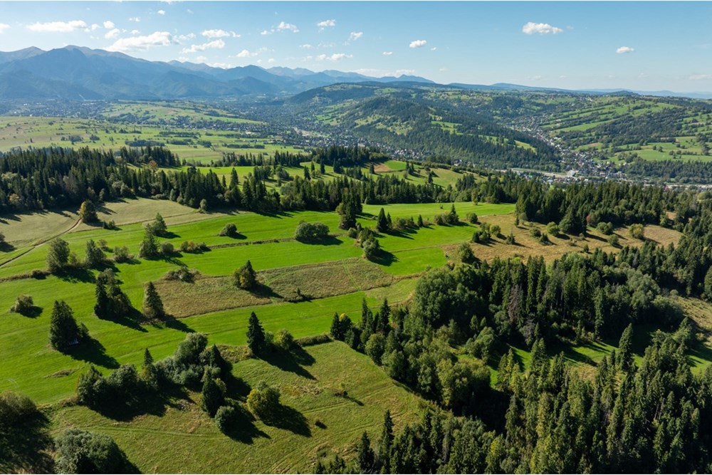 Nieruchomość gruntowa - Sprzedaż - Poronin, Polska - 20250922-DJI_0927-HDR.jpg - 470151039-63