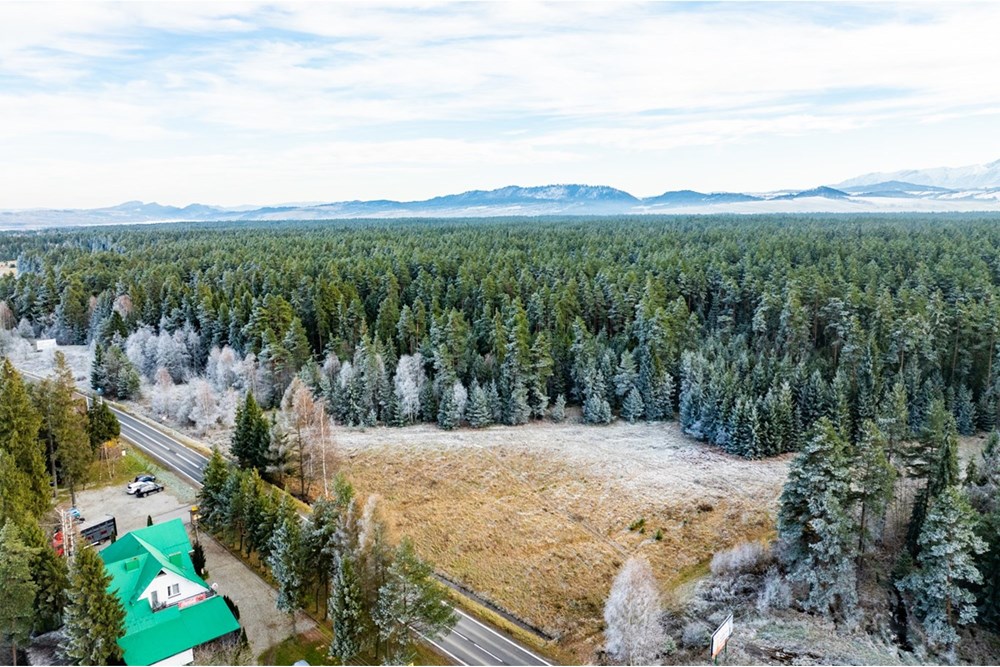 Działka - Sprzedaż - Harklowa, Polska - 20251119-DJI_0840-HDR.jpg - 470151024-463