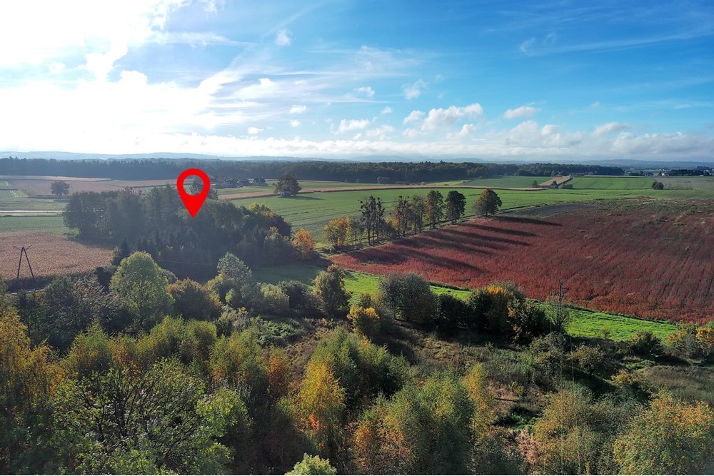 Nieruchomość inwestycyjna - Sprzedaż - Pruchna, Polska - PRU_032M.JPG - 800061076-438