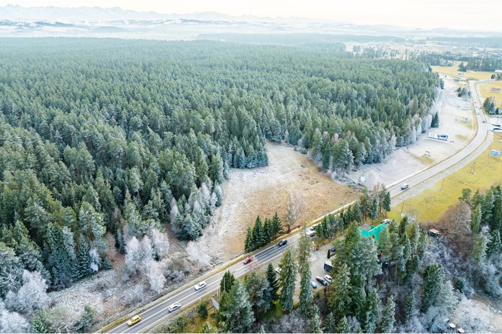 Działka - Sprzedaż - Harklowa, Polska - 20251119-DJI_0813-HDR.jpg - 470151024-463