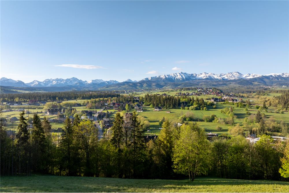 Działka - Sprzedaż - Poronin, Polska - 5 - 470151035-135