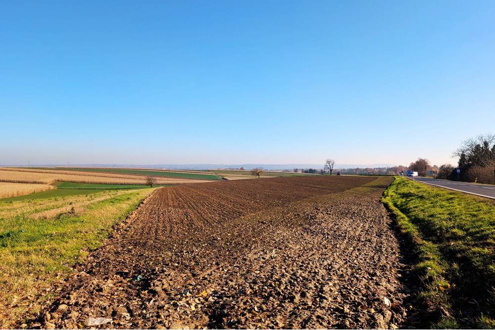 Nieruchomość inwestycyjna - Sprzedaż - Rudnik, Polska - 15e99882-3f8a-4c8e-a54a-a271a459ad3b.jpg - 470311007-9