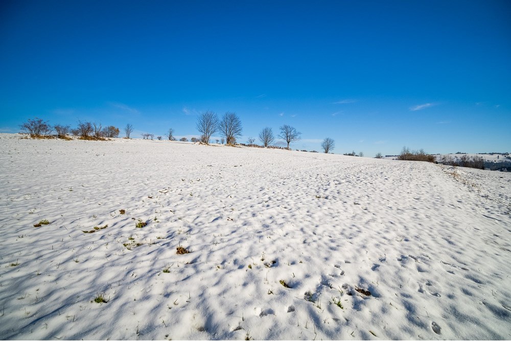 Działka - Sprzedaż - Ratułów, Polska - PB130007.jpg - 470151035-149