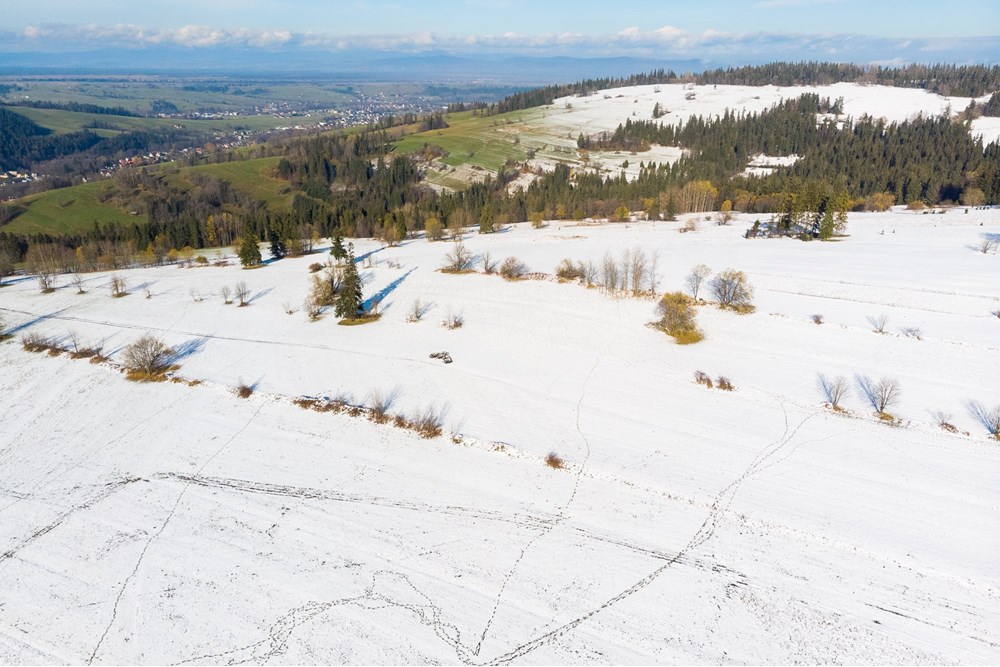 Działka - Sprzedaż - Ratułów, Polska - DJI_0419.jpg - 470151035-149