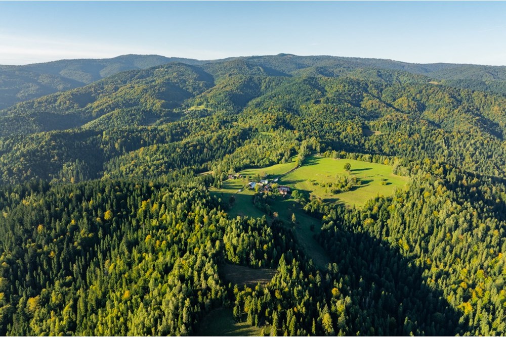 Działka - Sprzedaż - Harklowa, Polska - 20251004-DJI_0222-HDR.jpg - 470151024-458