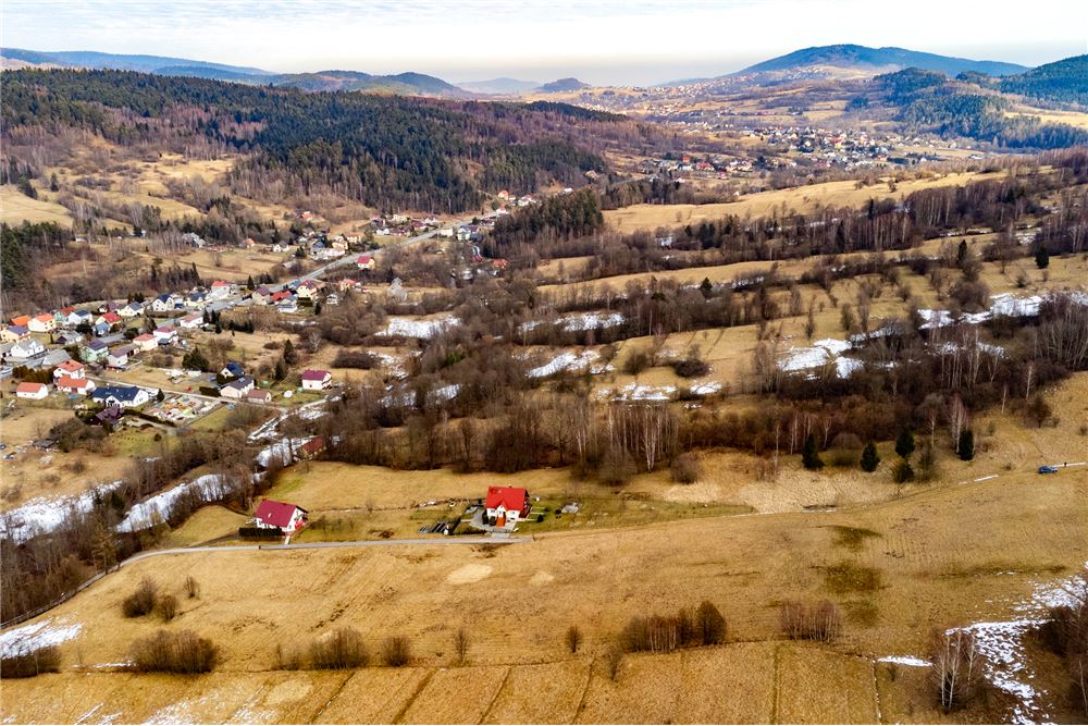 Działka budowlana - Sprzedaż - Las, Polska - 28 - 800061103-198