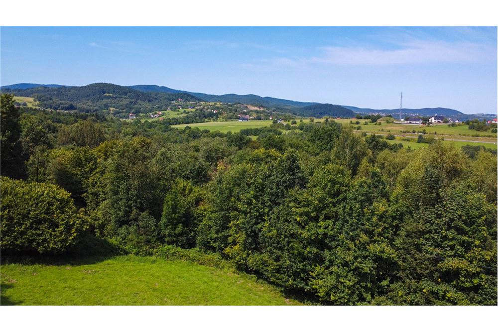 Działka - Sprzedaż - Tarnawa Dolna, Polska - 44 - 800061116-22