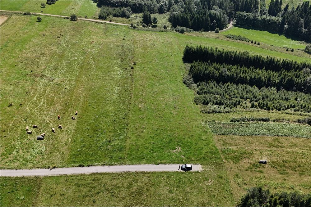 Działka budowlana - Sprzedaż - Dursztyn, Polska - 8 - 800091040-93