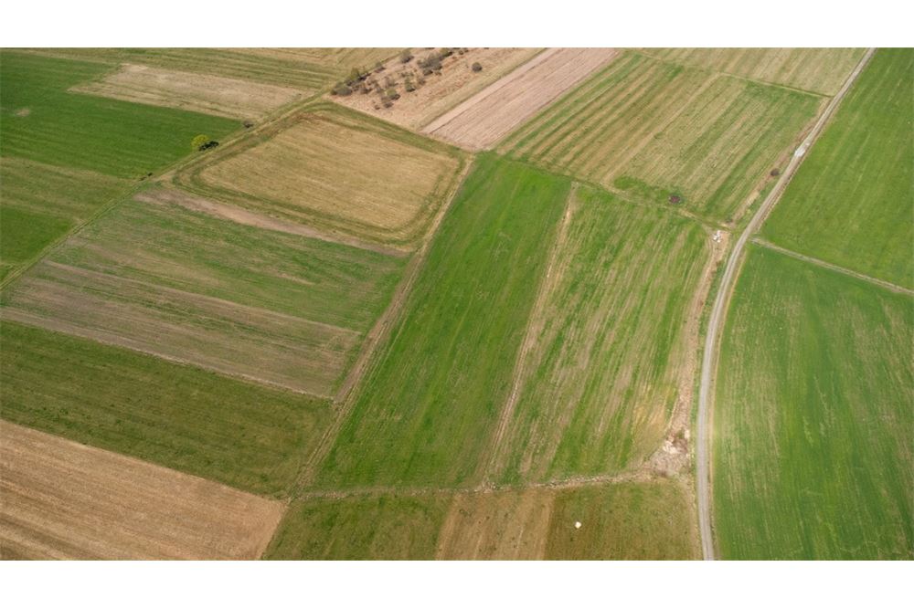 Nieruchomość gruntowa - Sprzedaż - Jabłonka, Polska - 11 - 470131089-56