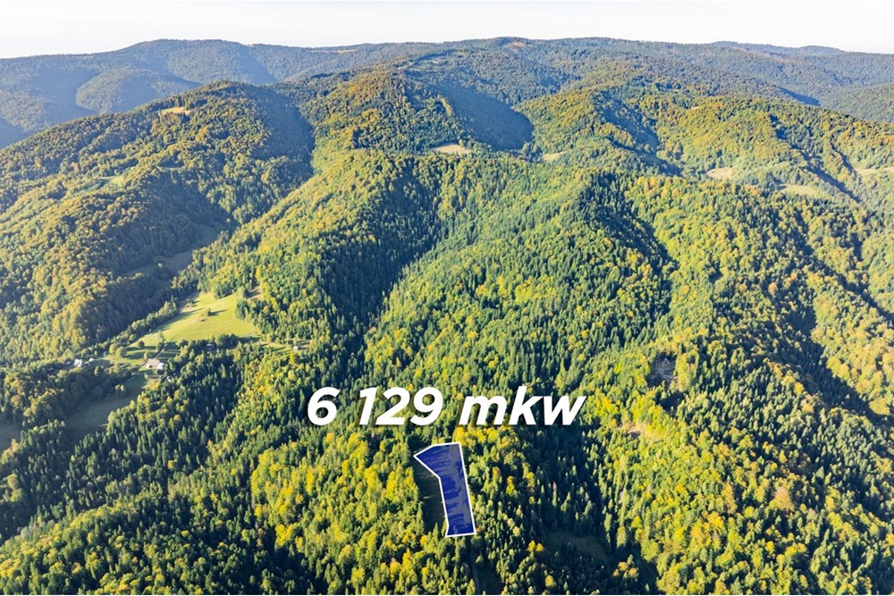 Działka - Sprzedaż - Harklowa, Polska - 20251004-DJI_0183-HDR.jpg - 470151024-458