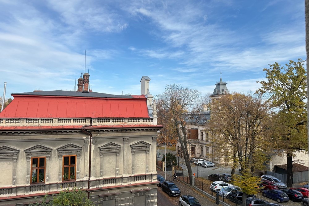 Lokal handlowy/usługowy - Wynajem - Bielsko-Biała, Polska - 16.jpeg - 470131094-20