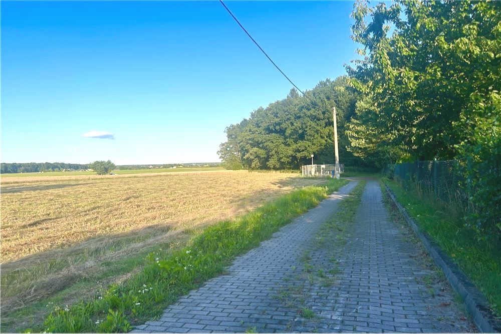 Działka budowlana - Sprzedaż - Rybnik, Polska - 7 - 800061090-239