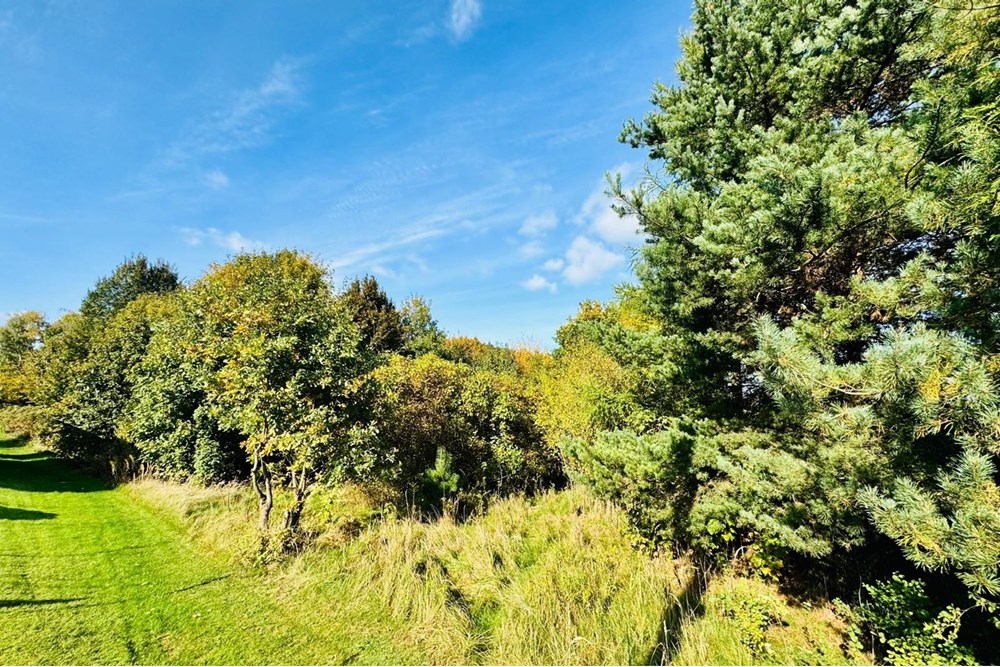 Działka budowlana - Sprzedaż - Rybnik, Polska - zamenhofa 3.jpg - 470311001-55