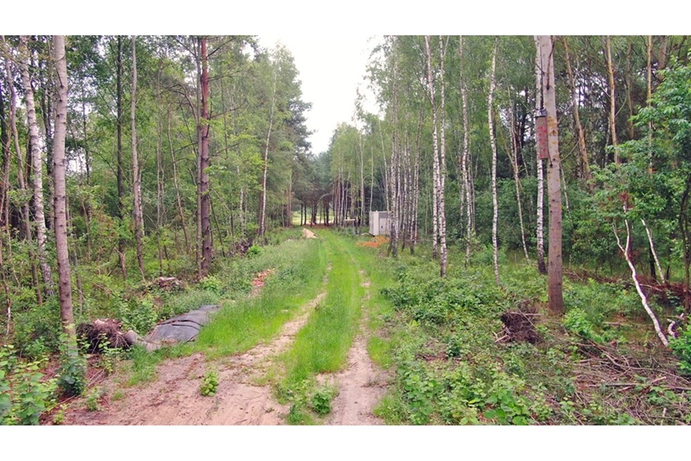 Nieruchomość gruntowa - Sprzedaż - Rudniki-Kolonia, Polska - Koniecpol (12).jpg - 800041074-18