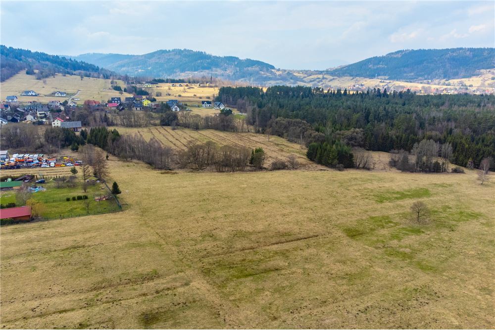 Działka - Sprzedaż - Sopotnia Wielka, Polska - 10 - 800061057-192