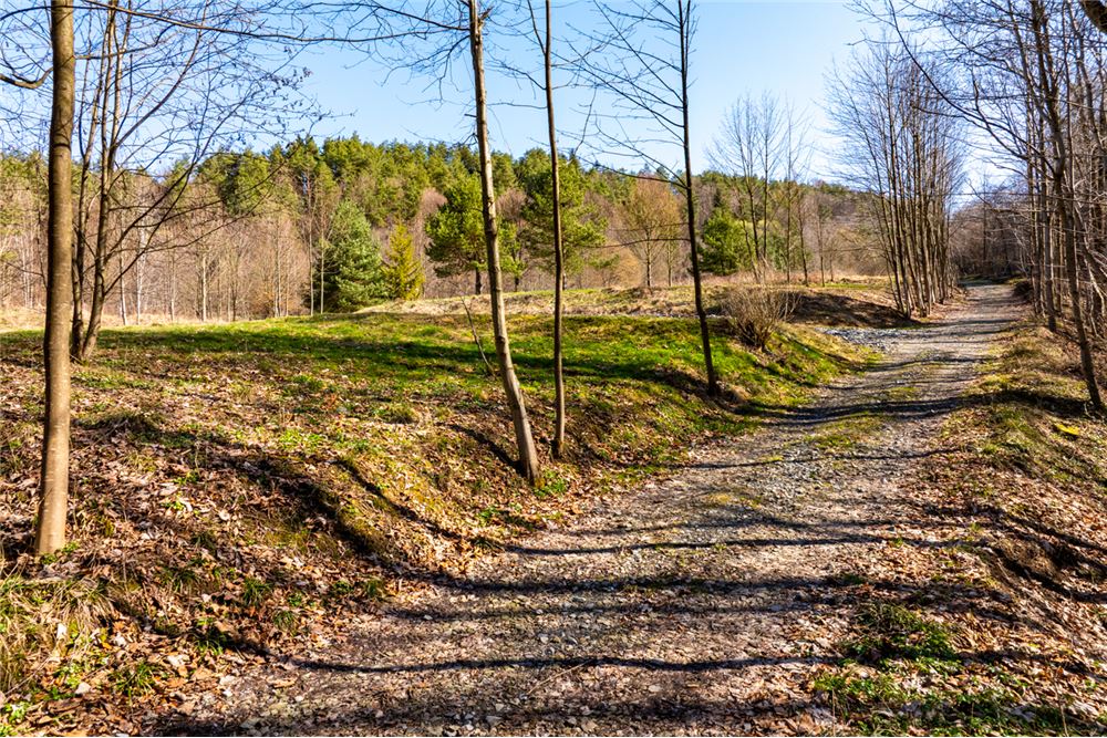 Działka budowlana - Sprzedaż - Stróża, Polska - 20 - 470151035-130