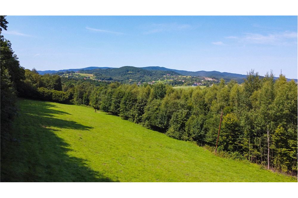 Działka - Sprzedaż - Tarnawa Dolna, Polska - 56 - 800061116-22