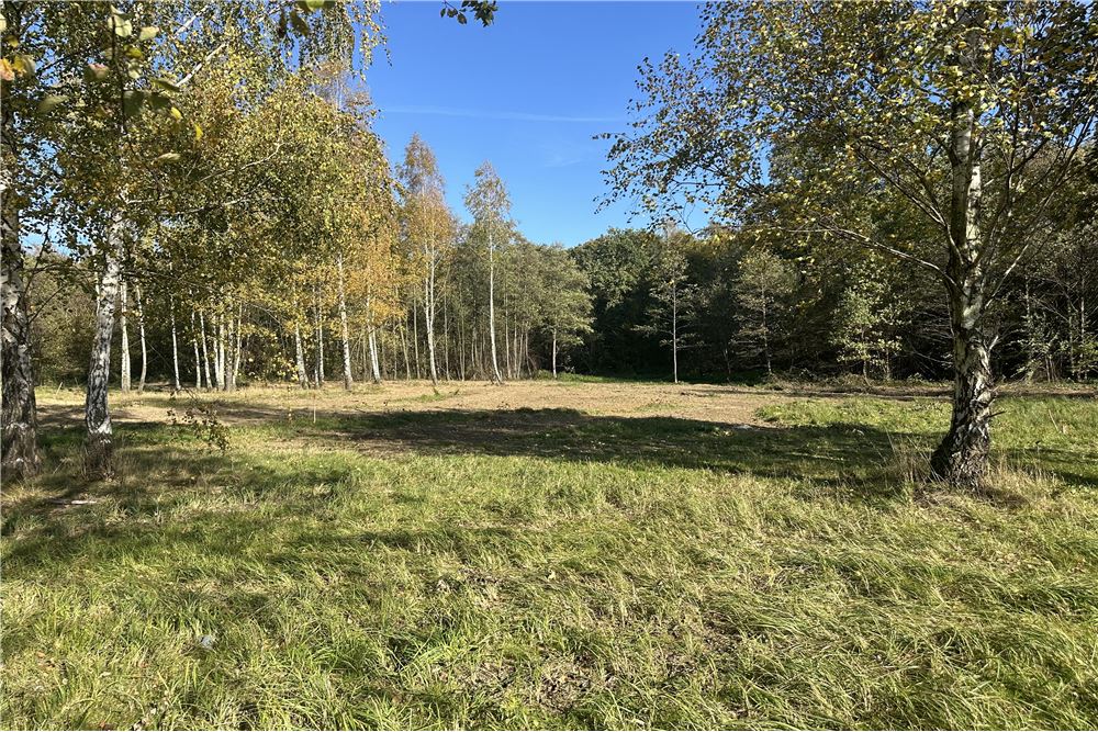 Działka budowlana - Sprzedaż - Jasienica, Polska - 35 - 800061103-173