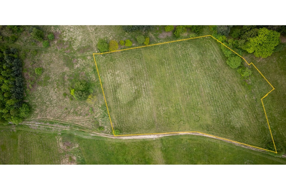 Działka - Sprzedaż - Krzeszów, Polska - Działka 160.000 5.jpg - 470131112-4