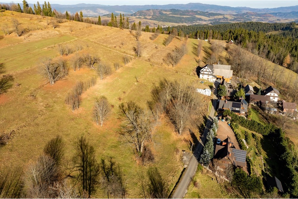Działka - Sprzedaż - Rzepiska, Polska - 20251114-DJI_0905-HDR.jpg - 800091045-42