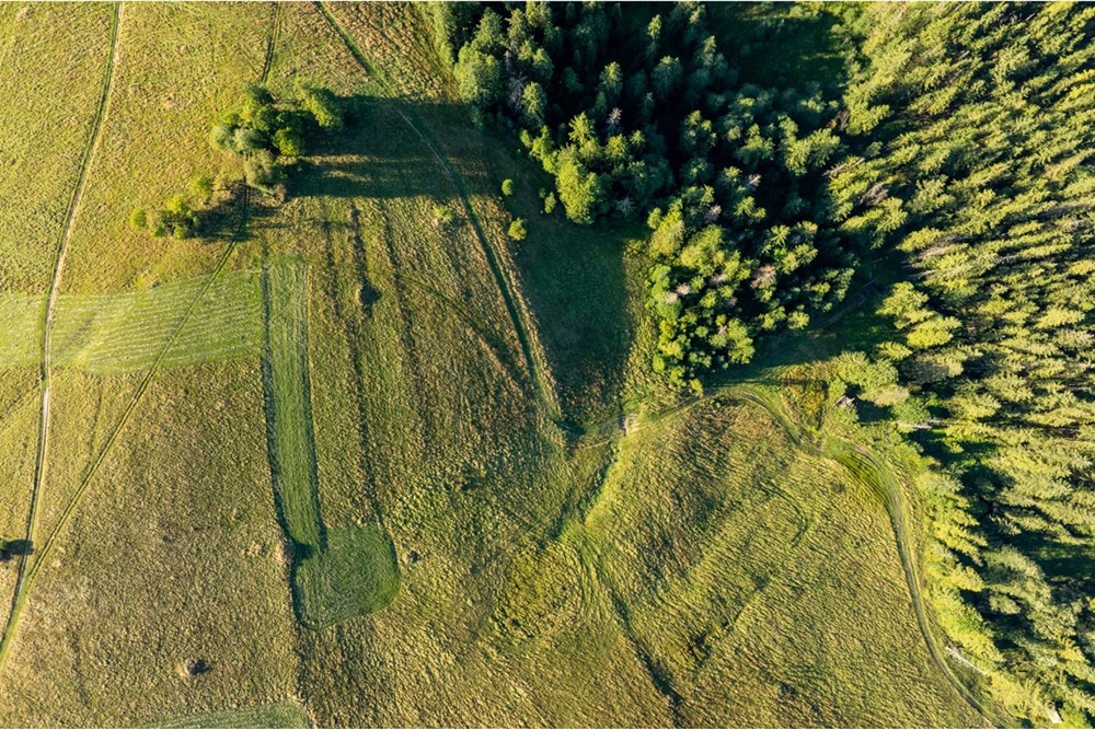 Działka - Sprzedaż - Zakopane, Polska - 20250826-DJI_0046-HDR.jpg - 470151024-448