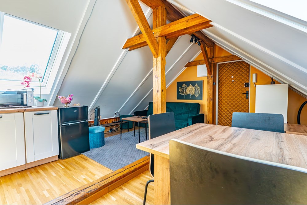 Mieszkanie dwupoziomowe - Sprzedaż - Kraków, Polska - fot-38-final.jpg - 800241031-40